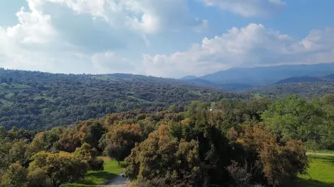 View/Area - 51870 Eshom Valley Dr, Badger, CA 93603 photo 4 of 44