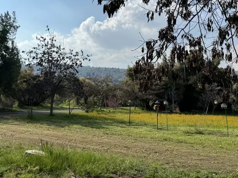 View/Area - 51870 Eshom Valley Dr, Badger, CA 93603 photo 36 of 44