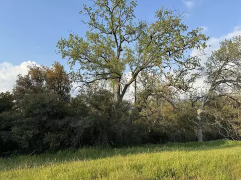 Exterior - 51870 Eshom Valley Dr, Badger, CA 93603 photo 33 of 66