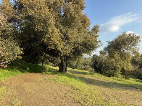 View/Area - 51870 Eshom Valley Dr, Badger, CA 93603 photo 34 of 44