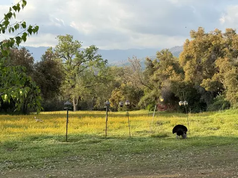 Exterior - 51870 Eshom Valley Dr, Badger, CA 93603 photo 23 of 66