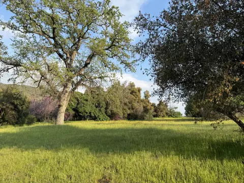 Exterior - 51870 Eshom Valley Dr, Badger, CA 93603 photo 34 of 66