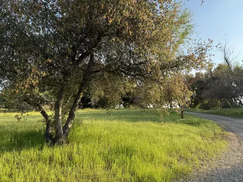 View/Area - 51870 Eshom Valley Dr, Badger, CA 93603 photo 25 of 44