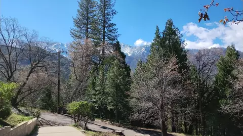View/Area - 1284 Bourbon, Springville, CA 93265 photo 9 of 11