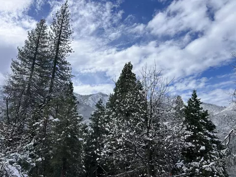 Other - 1284 Bourbon, Springville, CA 93265 photo 23 of 33