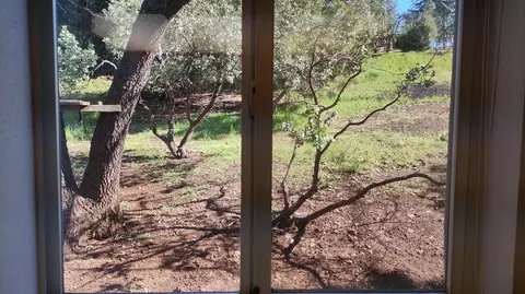 Exterior - 1284 Bourbon, Springville, CA 93265 photo 3 of 19