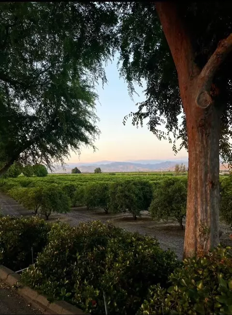 lot Apt 11 Valley View Dr, Exeter, CA 93221 photo 8