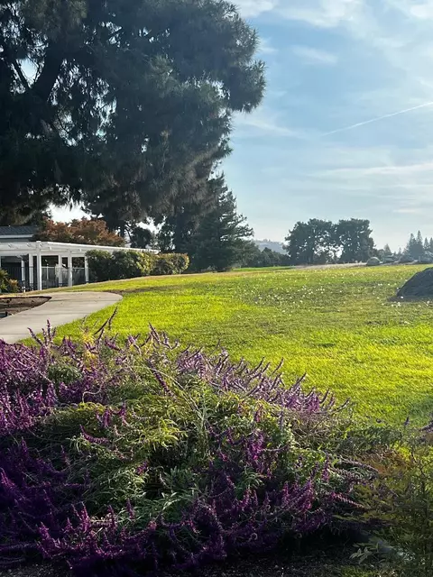lot Apt 11 Valley View Dr, Exeter, CA 93221 photo 13
