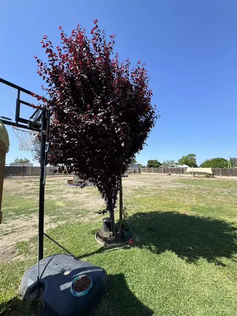 207 E Beacon Ave, Tulare, CA 93274 photo 41