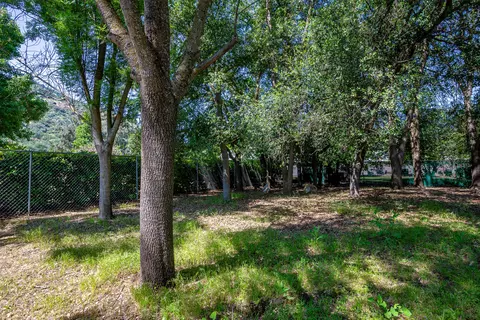 40825 Grouse Dr, Three Rivers, CA 93271 photo 24