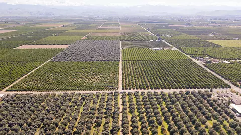 Avenue 204/road 204, Lindsay, CA 93247