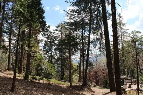 0 Tower Rd, Camp Nelson, CA 93265 photo 12