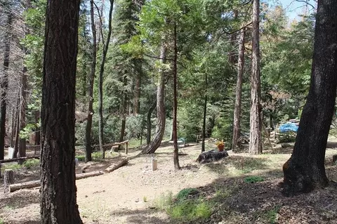0 Tower Rd, Camp Nelson, CA 93265 photo 9