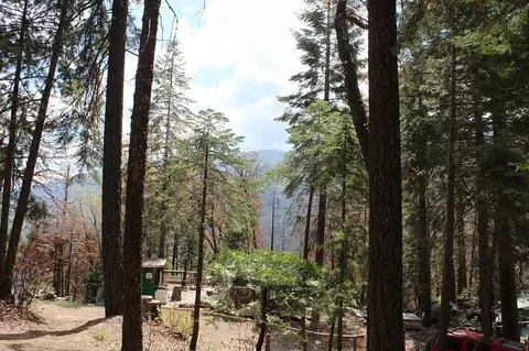 0 Tower Rd, Camp Nelson, CA 93265 photo 11