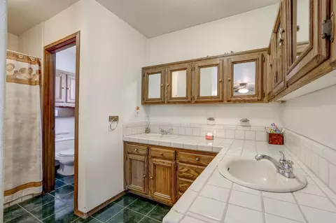20366 Avenue 256, Exeter, CA 93221 photo 17