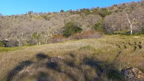Iris Road, Squaw Valley, CA 93675 photo 7