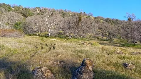 Iris Road, Squaw Valley, CA 93675 photo 6