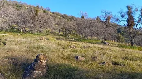 Iris Road, Squaw Valley, CA 93675 photo 5