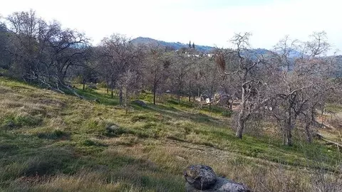 Iris Road, Squaw Valley, CA 93675 photo 3