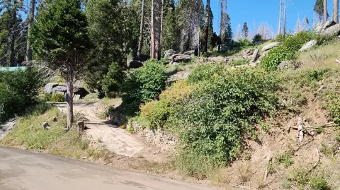 54607 Alder Dr, Sequoia Crest, CA 93265