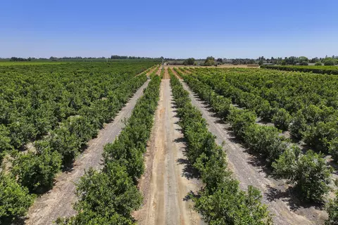 Avenue 336, Visalia, CA 93292 photo 7