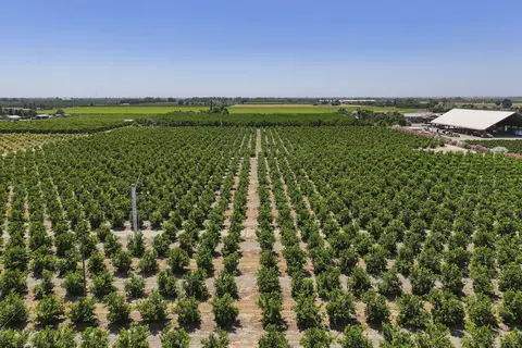 Avenue 336, Visalia, CA 93292 photo 9