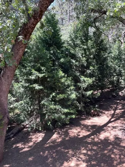 1183 Bourbon Dr, Springville, CA 93265 photo 14