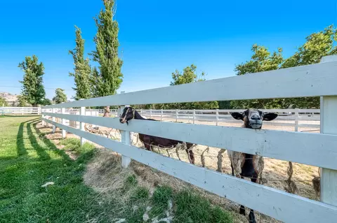 31399 Powell Dr, Exeter, CA 93221 photo 63