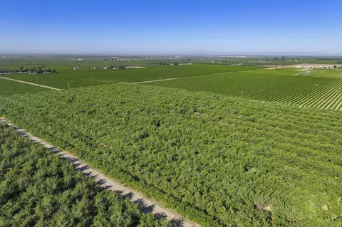 E Mt. View Avenue, Selma, CA 93662 photo 8