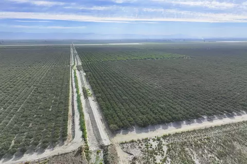 Road 128, Earlimart, CA 93219 photo 2