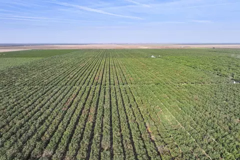 Road 128, Earlimart, CA 93219 photo 3