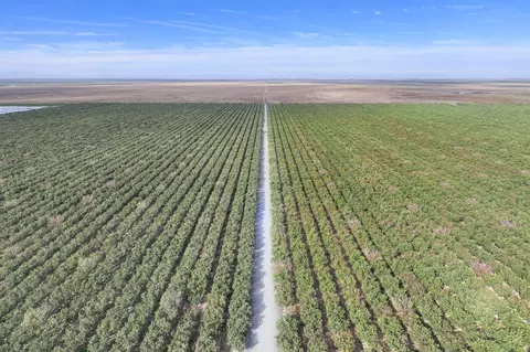 Road 128, Earlimart, CA 93219 photo 5
