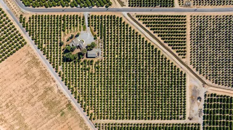 31147 Mehrten Dr, Exeter, CA 93221 photo 12