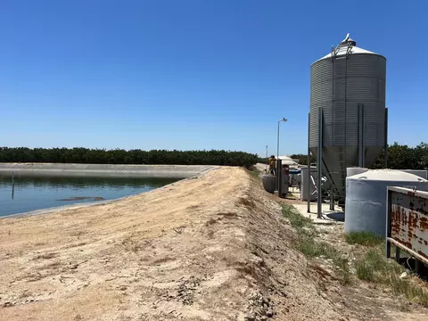 Avenue 144, Tipton, CA 93272 photo 13