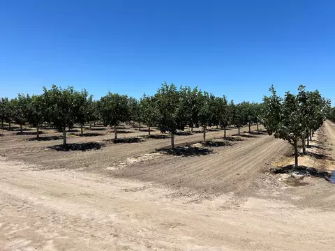 Avenue 144, Tipton, CA 93272 photo 2