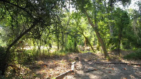 43678 N Fork Dr, Three Rivers, CA 93271 photo 23