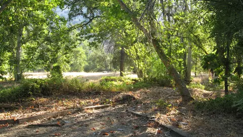 43678 N Fork Dr, Three Rivers, CA 93271 photo 3