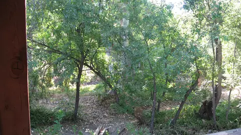 43678 N Fork Dr, Three Rivers, CA 93271 photo 24