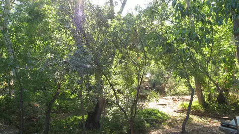 43678 N Fork Dr, Three Rivers, CA 93271 photo 22