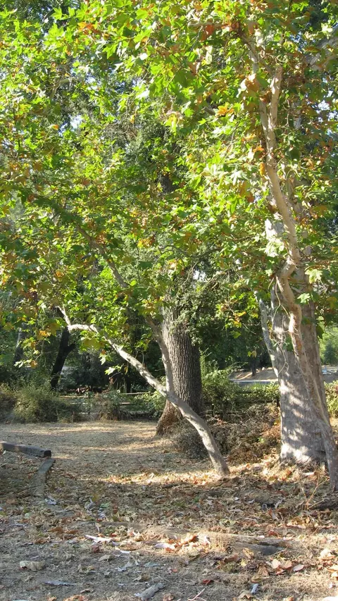43678 N Fork Dr, Three Rivers, CA 93271 photo 2