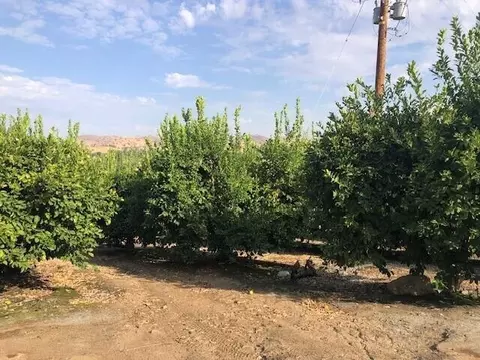 Avenue 176, Springville, CA 93265 photo 3