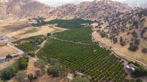 Avenue 176, Springville, CA 93265 photo 2
