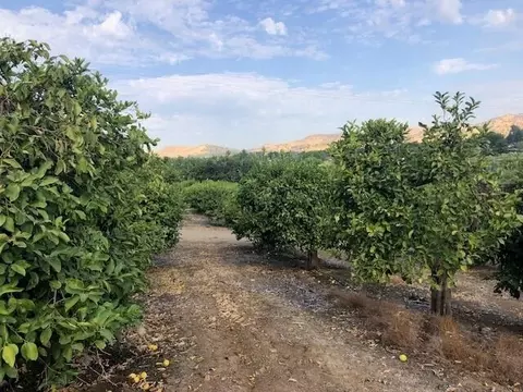 Avenue 176, Springville, CA 93265 photo 14