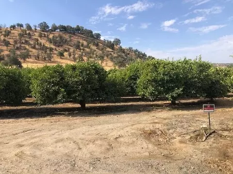 Avenue 176, Springville, CA 93265 photo 16