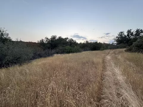 Nn Hogback, Badger, CA 93603 photo 10