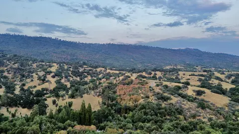 Nn Hogback, Badger, CA 93603 photo 15