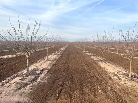 Avenue 204, Strathmore, CA 93267 photo 3