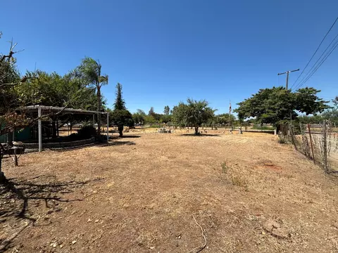 19274 Rd 234, Strathmore, CA 93267 photo 5