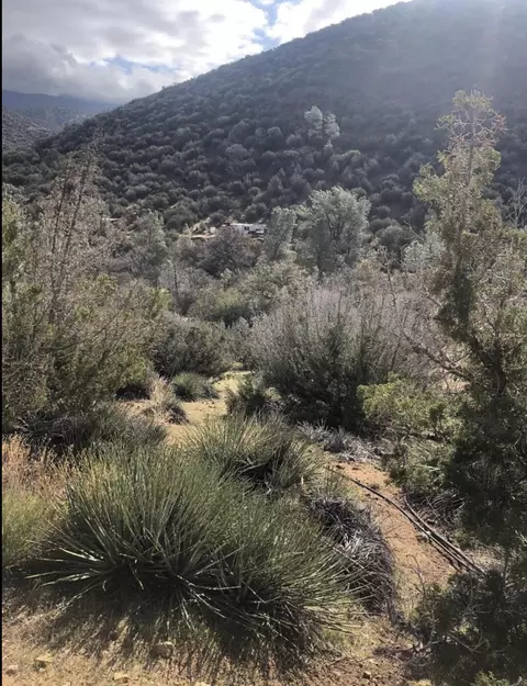 Zachary Road, Caliente, CA 93518 photo 4