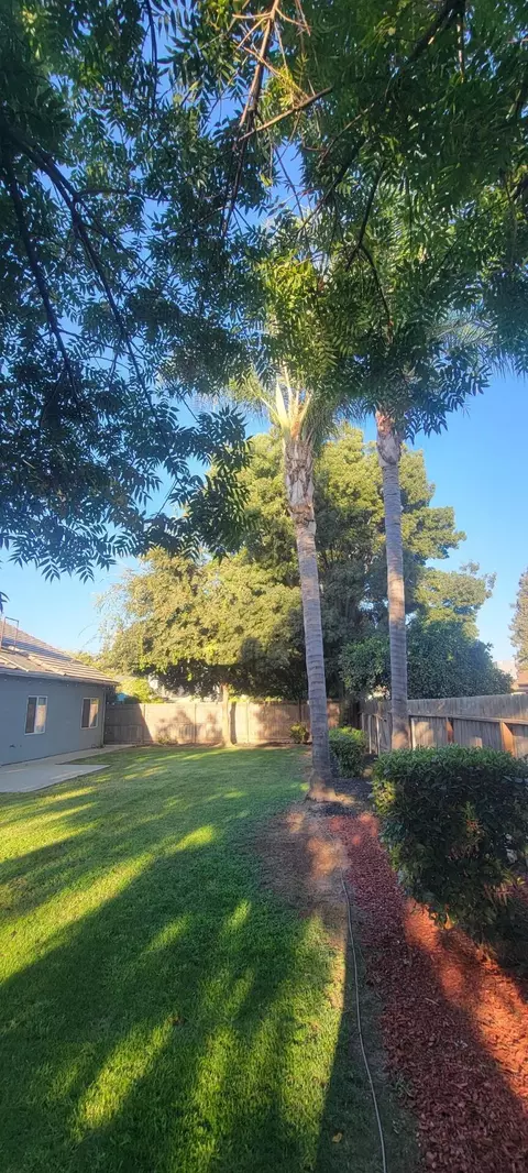 529 E Ferguson Ct, Visalia, CA 93292 photo 35